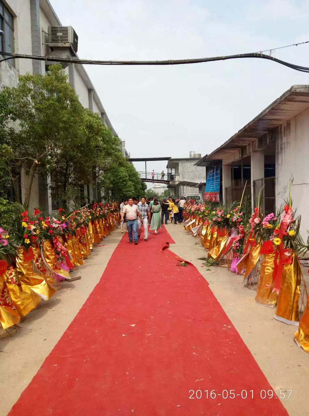 �������ר����