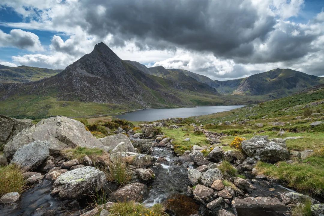 Դ����Ȼ��������⡪���Ź�����̬����ש