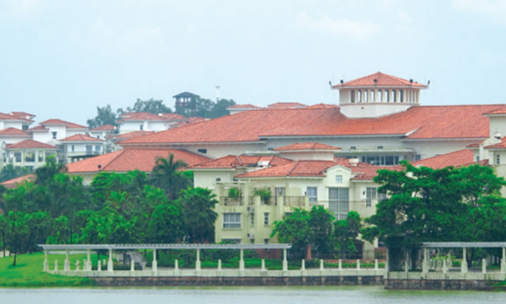 ���ݡ������ϰİ뵺