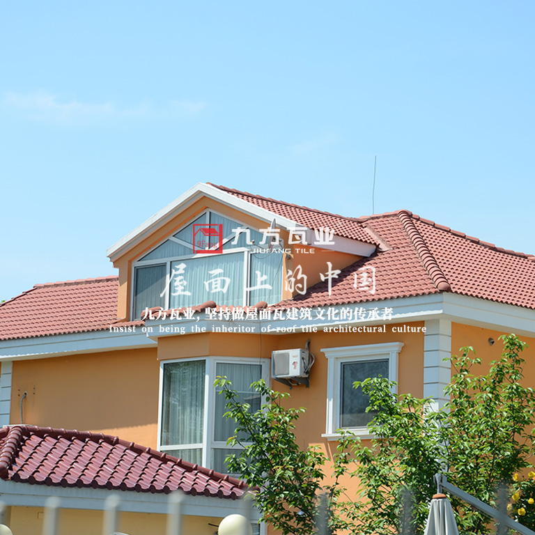 ���Ź���V9��(�й�)���޹�˾����