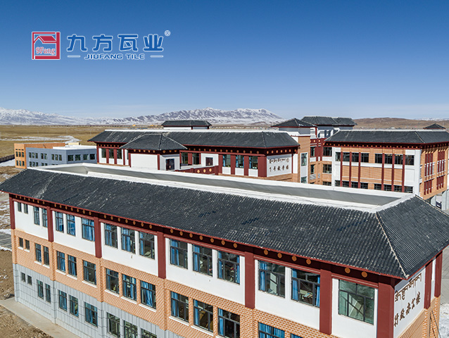 ����߼���ѧ