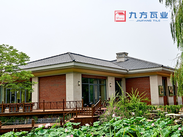 �߶������