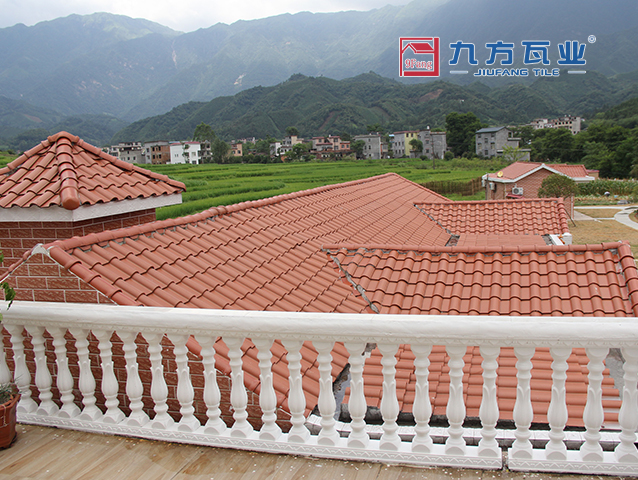 ȫ�ݡ�˽�˱���