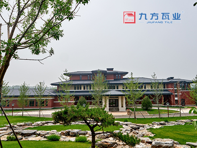 �߶������