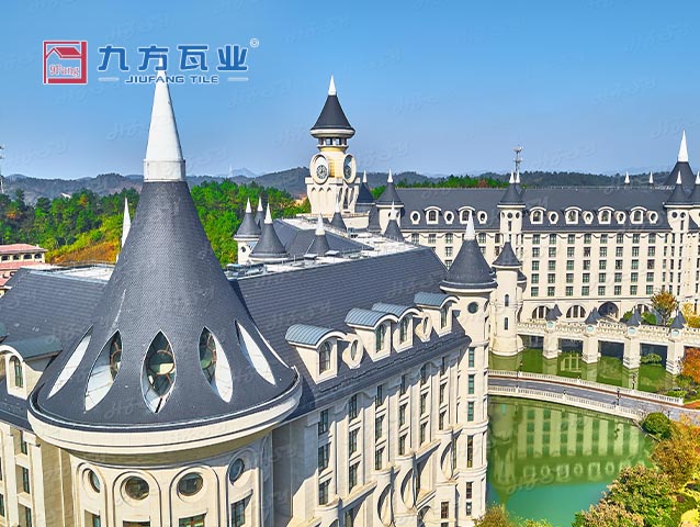 �����ű��ù�