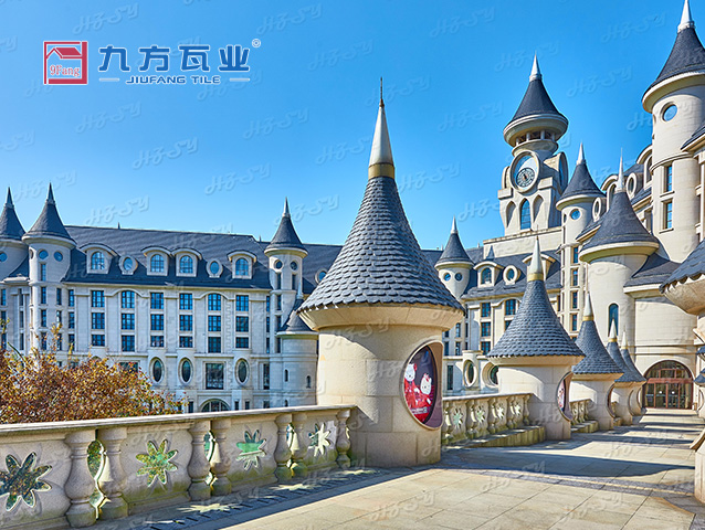 �����ű��ù�