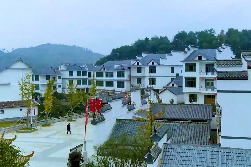 ���Ź���V9��(�й�)���޹�˾����