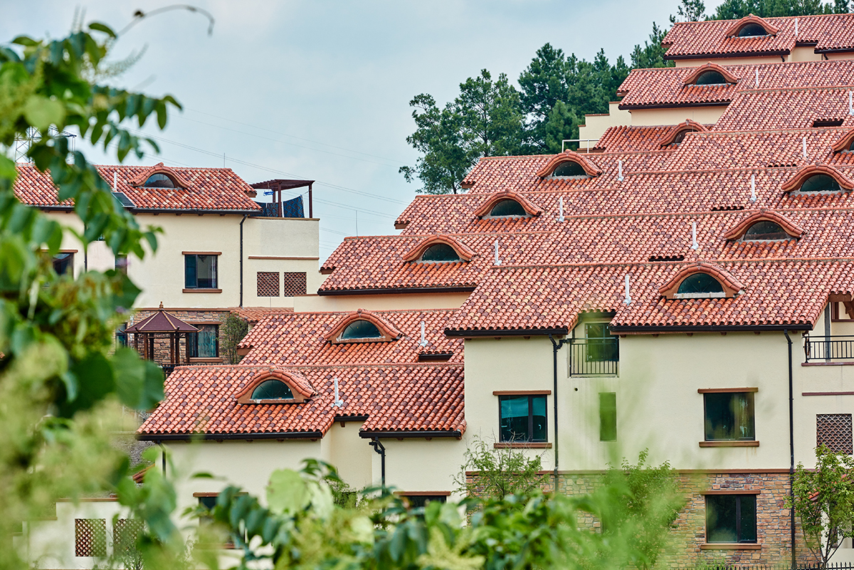 ���Ź���ժҪ2023��29��