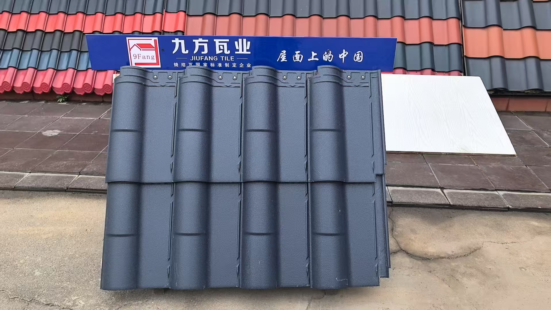 ���Ź���ժҪ2025��11��