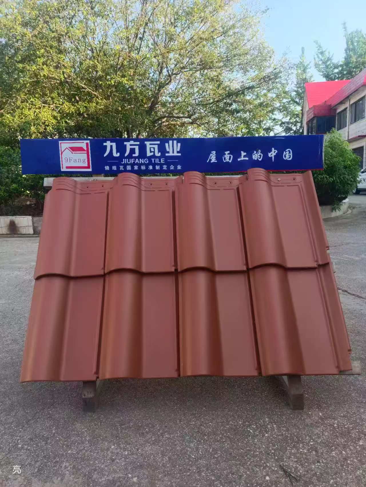 ���Ź���ժҪ2025��21��